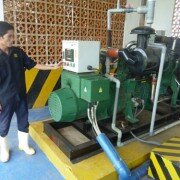 Trang trại “triệu đô” của người Việt