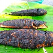 Cá lóc đồng nướng trui