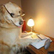 Giải mã thứ bậc thầy Hai, con Tám… của Sài Gòn xưa
