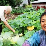 Nông nghiệp Mỹ – Thiên đường cho nông dân Việt