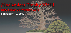 Triển lãm Bonsai quốc tế Noelanders Trophy lần thứ 18 (2/2017)