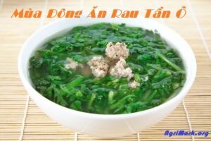 Vì sao nên thường xuyên cho gia đình ăn rau Tần Ô vào mùa đông?