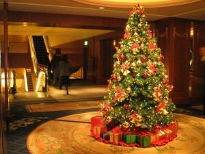 Tại sao ngày Noel lại dùng cây thông mà không phải là cây khác?